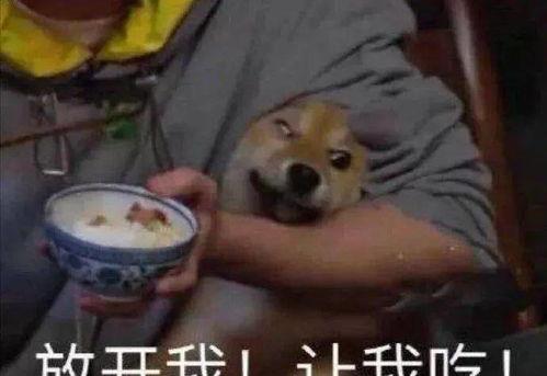 今年的吃瓜事件