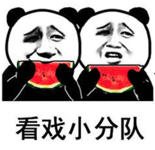 娱乐圈吃瓜群众表情包