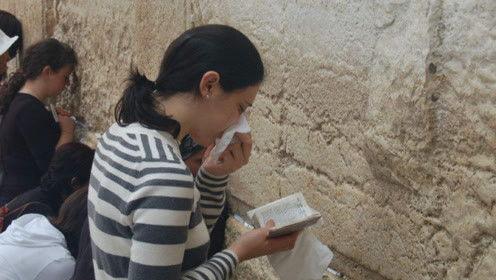 娱乐吃瓜君19,揭秘娱乐圈最新热点事件