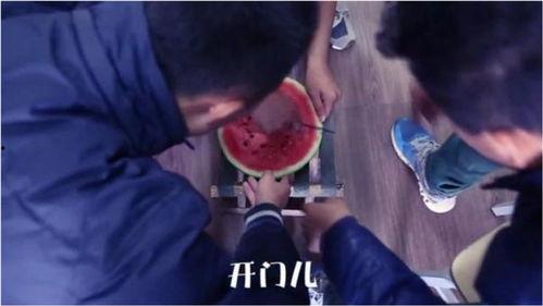 吃瓜娱乐奇葩视频,笑料百出！盘点那些让人捧腹大笑的吃瓜娱乐奇葩视频