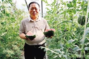 寺寺娱乐吃瓜,揭秘娱乐圈吃瓜背后的真相