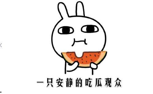 我在吃瓜什么意思
